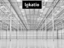 Pronájem skladu, Kostelec - Ostrov u Stříbra, 18000 m2