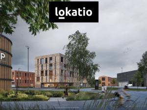 Pronájem skladu, Ostrava - Vítkovice, 2900 m2