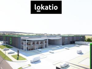 Pronájem výrobních prostor, Olomouc, 875 m2