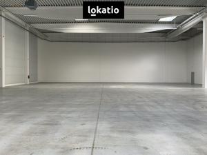 Pronájem skladu, Cheb, 22620 m2