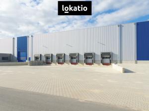 Pronájem skladu, Zákupy, U Trati, 15628 m2